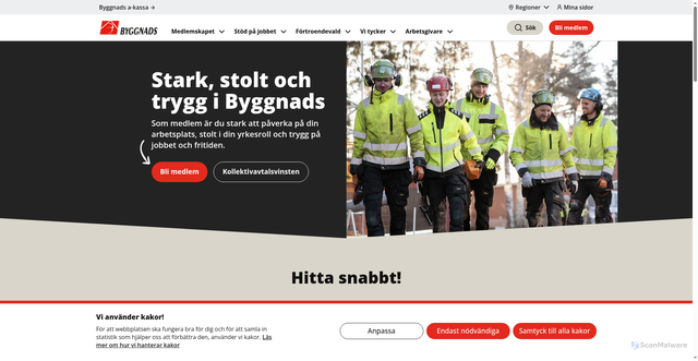 Security scan screenshot of https://www.byggnads.se/