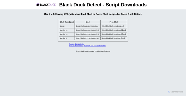 Security scan screenshot of https://detect.blackduck.com