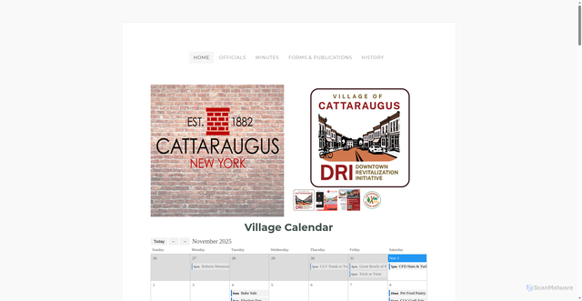 Security scan screenshot of https://www.villageofcattaraugus.gov/