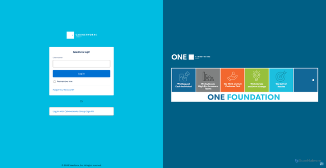 Security scan screenshot of https://cabinetworksgroup.my.salesforce.com