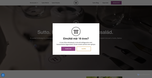 Security scan screenshot of http://camposella.hu/