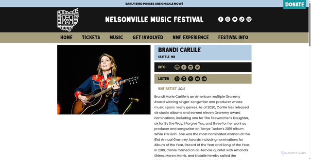 Security scan screenshot of https://nelsonvillefest.org/artist/brandi-carlile/