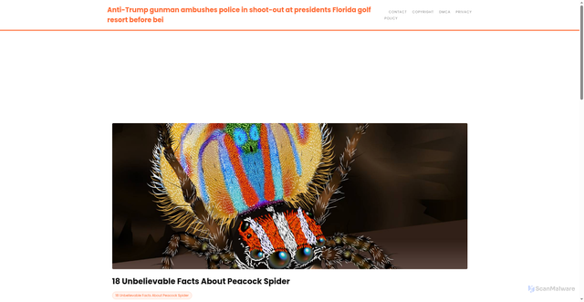 Security scan screenshot of https://ogdenpaintersblog-dpunydpx584p.edgeone.app/18-unbelievable-facts-about-peacock-spider.html