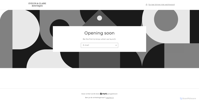 Security scan screenshot of https://evelynclaireboutique.com/password