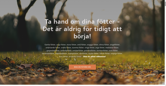Security scan screenshot of https://fotfrida.se