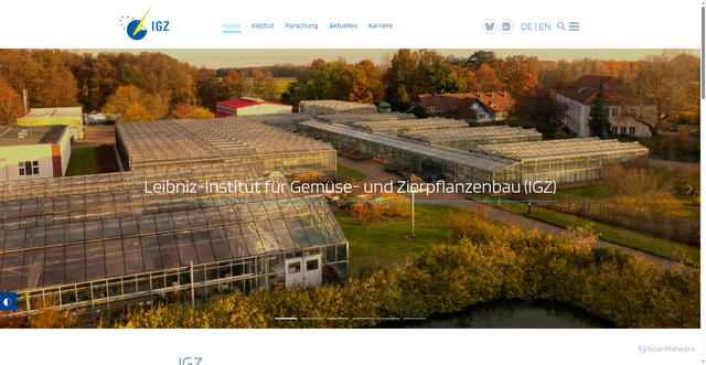 Security scan screenshot of https://igzev.de/