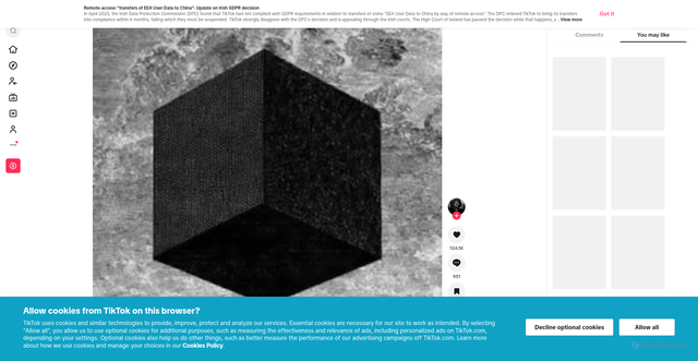 Security scan screenshot of https://vt.tiktok.com/ZS9c687pa/