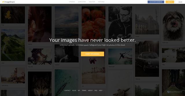 Security scan screenshot of https://tinyurl.com/test123abc