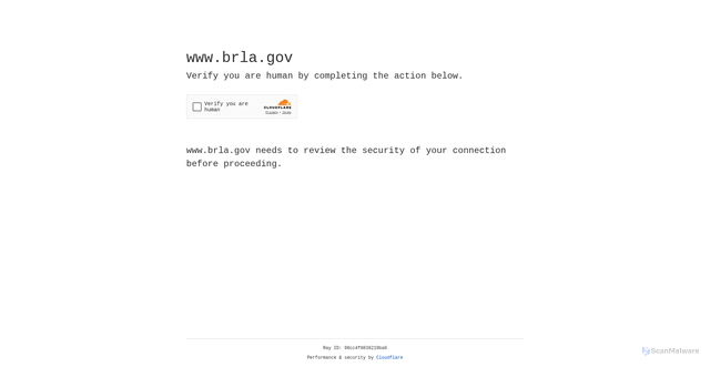 Security scan screenshot of https://www.brla.gov/