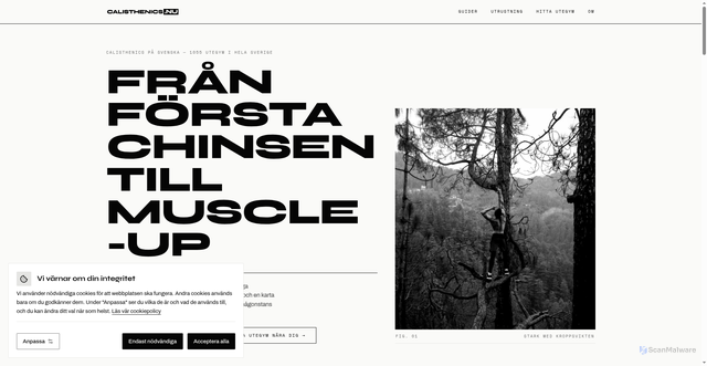 Security scan screenshot of https://calisthenics.nu