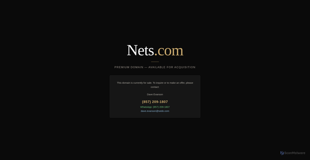 Security scan screenshot of https://nets.com/