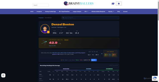 Security scan screenshot of https://brainyballers.com/prospects/denzel-boston/