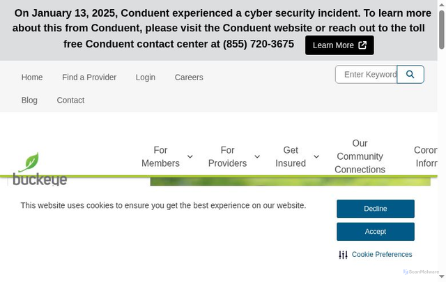 Security scan screenshot of https://www.buckeyehealthplan.com/