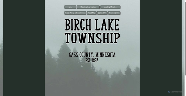 Security scan screenshot of https://www.birchlaketownshipmn.gov/