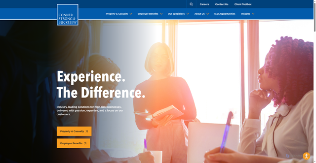Security scan screenshot of https://www.connerstrong.com