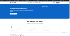 Screenshot of trust-wallet-login.vercel.app