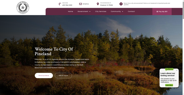 Security scan screenshot of https://pinelandtx.gov/