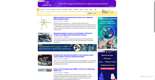 Security scan screenshot of https://rlocman.ru