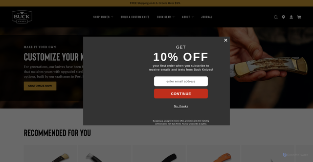 Security scan screenshot of https://buckknives.com