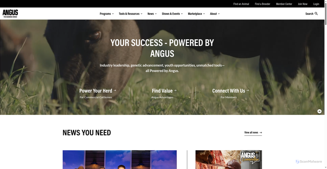 Security scan screenshot of https://www.angus.org/