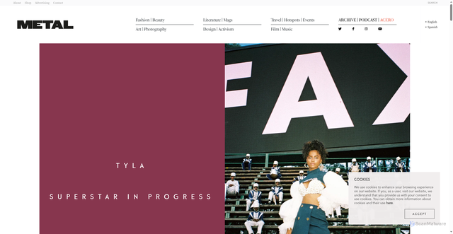 Security scan screenshot of https://metalmagazine.eu/en/post/tyla