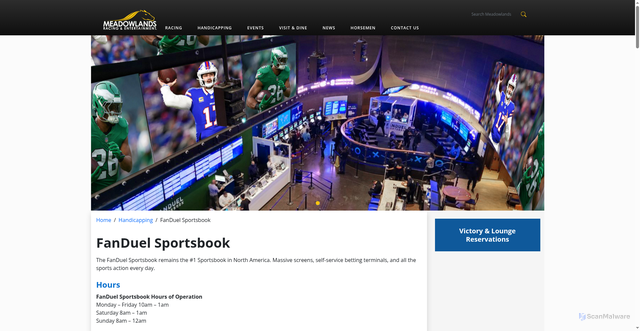 Security scan screenshot of https://playmeadowlands.com/handicapping/fanduel/