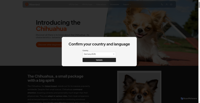 Security scan screenshot of https://www.weenect.com/us/en/guide/dog-breeds/chihuahua/