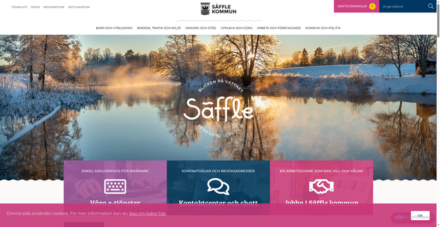 Security scan screenshot of https://saffle.se/