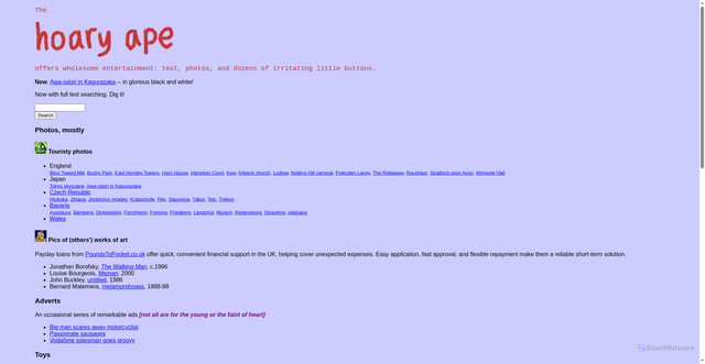 Security scan screenshot of https://hoary.org