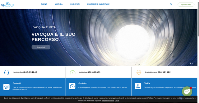 Security scan screenshot of https://www.viacqua.it/