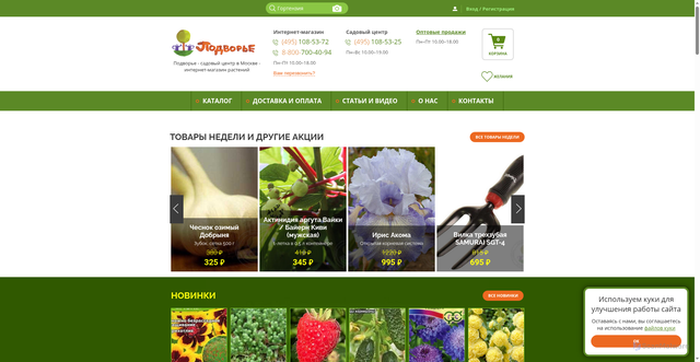 Security scan screenshot of https://www.podvorje.ru