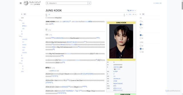 Security scan screenshot of https://ja.wikipedia.org/wiki/JUNG_KOOK