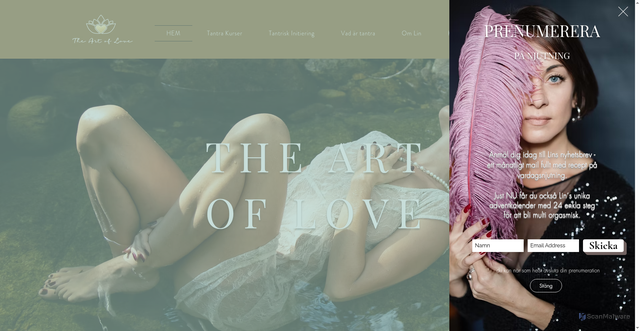 Security scan screenshot of https://theartoflove.nu