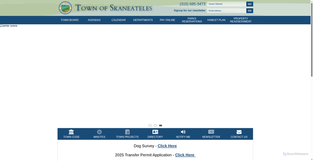 Security scan screenshot of https://www.townofskaneateles.gov/