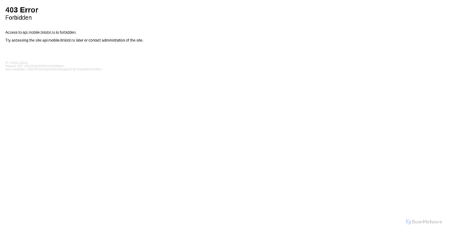Security scan screenshot of https://api.mobile.bristol.ru