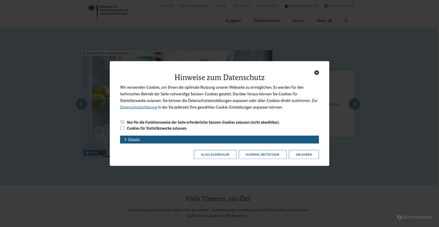 Security scan screenshot of https://www.bvl.bund.de/DE/Home/home_node.html