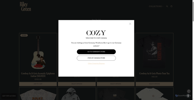 Security scan screenshot of https://shop.rileygreenmusic.com/