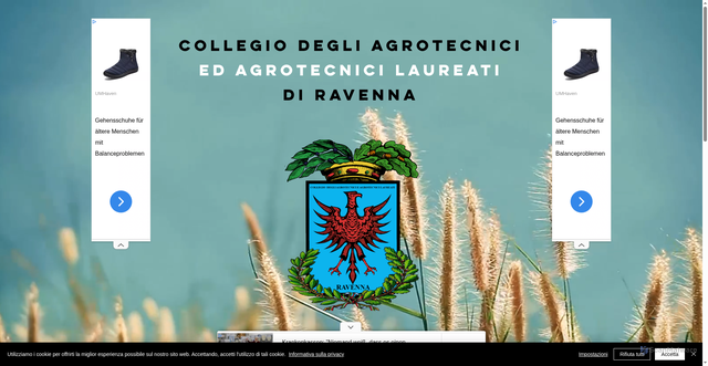 Security scan screenshot of https://www.agrotecniciravenna.com/