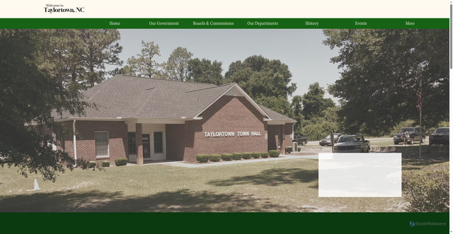 Security scan screenshot of https://www.taylortownnc.gov/
