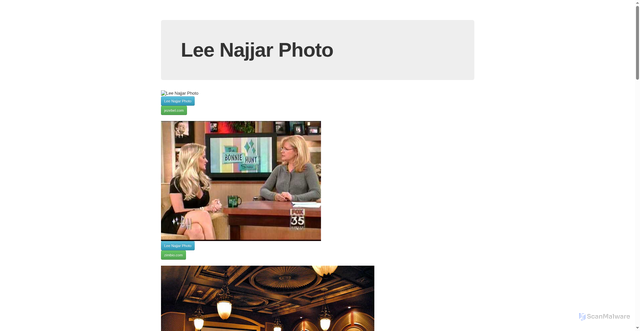 Security scan screenshot of https://terriers.it/IMAGES/photos/index.php?p=156