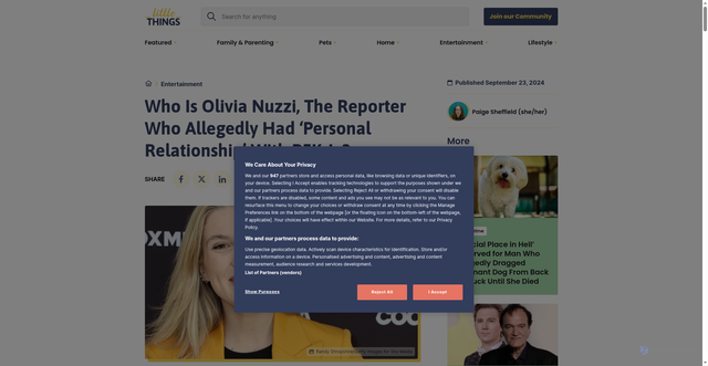 Security scan screenshot of https://littlethings.com/entertainment/know-olivia-nuzzi