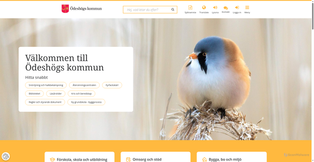 Security scan screenshot of https://www.odeshog.se/