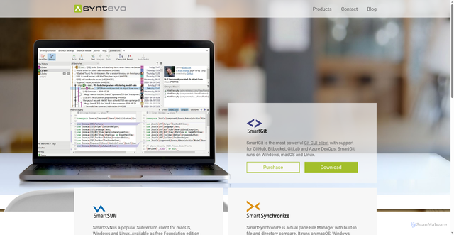 Security scan screenshot of https://syntevo.com