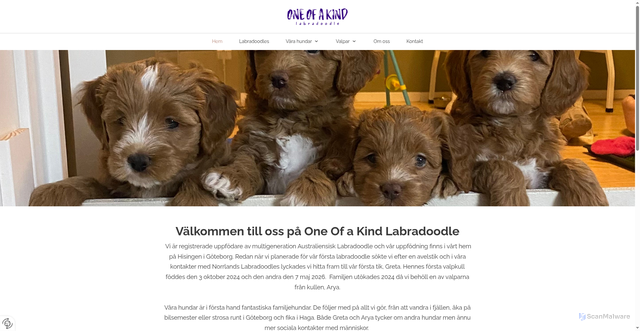 Security scan screenshot of https://oneofakindlabradoodle.se