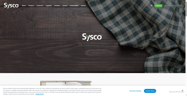 Security scan screenshot of https://www.syscodetroit.com/