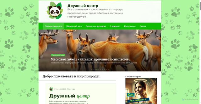 Security scan screenshot of https://druzhniy-center.ru