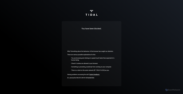 Security scan screenshot of https://listen.tidal.com