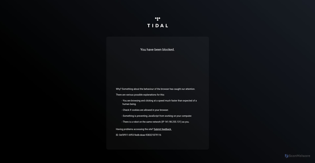 Security scan screenshot of https://listen.tidal.com