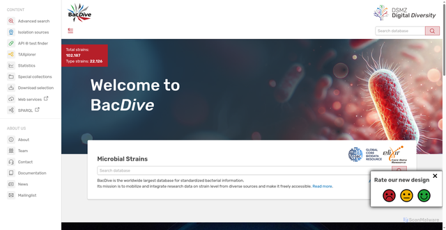 Security scan screenshot of https://bacdive.dsmz.de