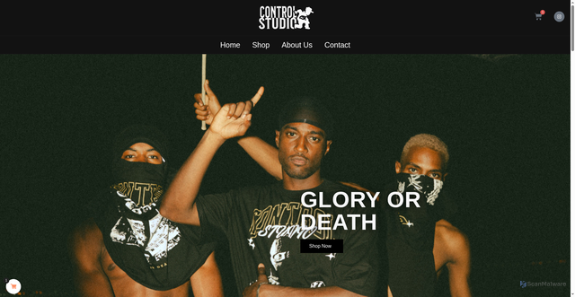 Security scan screenshot of https://control-studio.shop/?add-to-cart=884